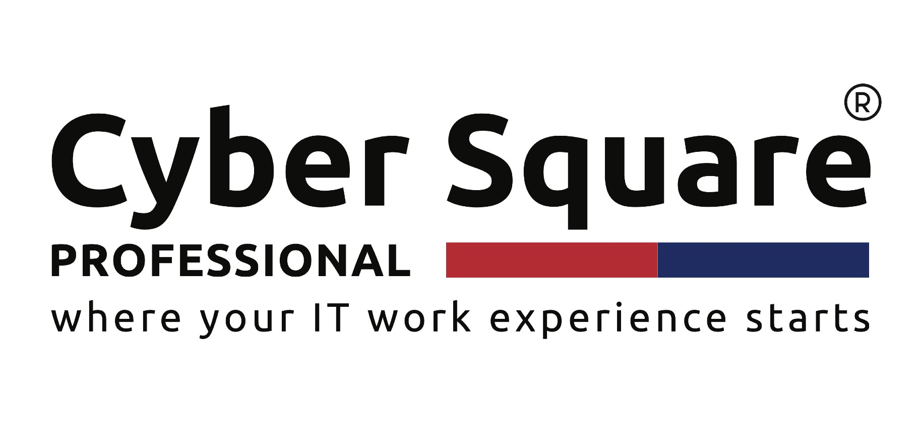 Cyber Square Pro